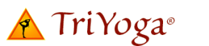 TY_Logo_51-300x67
