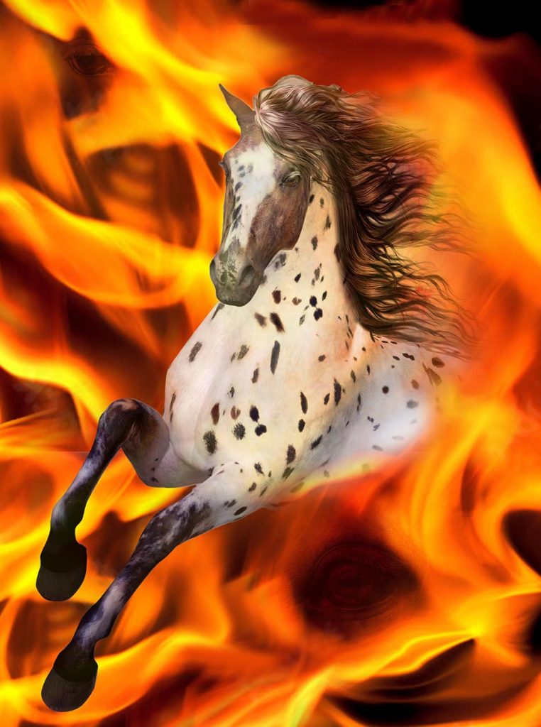 Feuer-Pferd